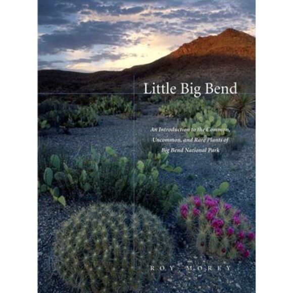 Roy Morey Other - Little Big Bend: Common, Uncommon, and Rare Plants of Big Bend National Park --